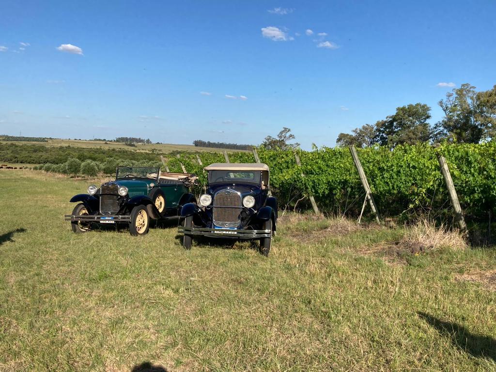Mori Maglio Wines