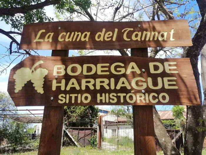Espacio Cultural Bodega Harriague