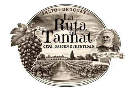 La Ruta del Tannat · Salto, Uruguay